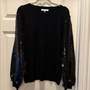 Sioni Black Sweater with Sequin Sleeves